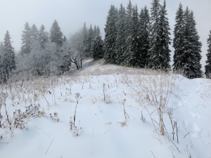 Winter am Stolzenberg